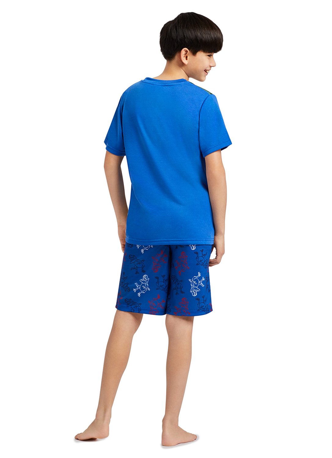 Back Boy with T-Shirt & Dino print Shorts