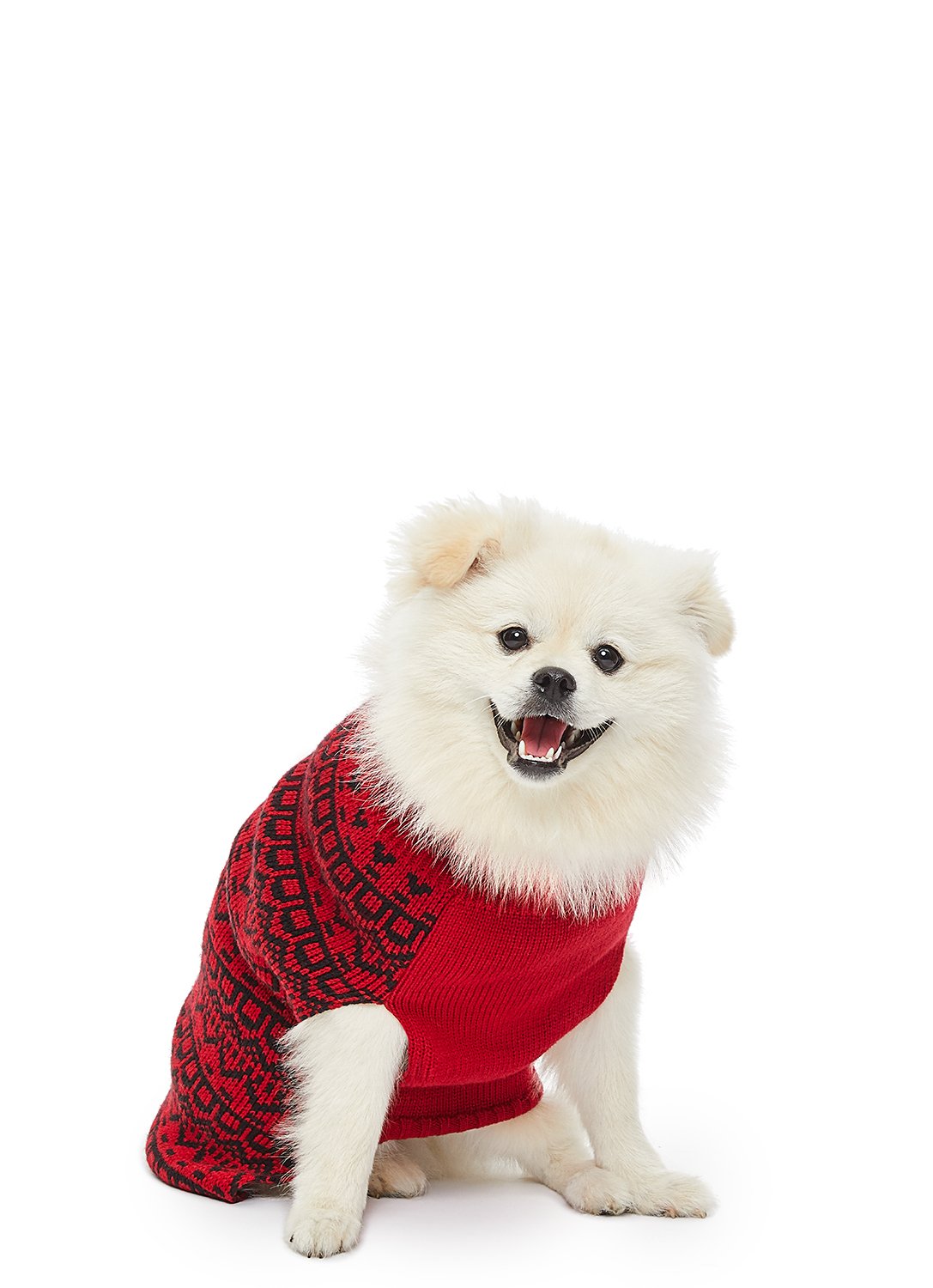 Dog wearing Red Plaid Sleepwear
