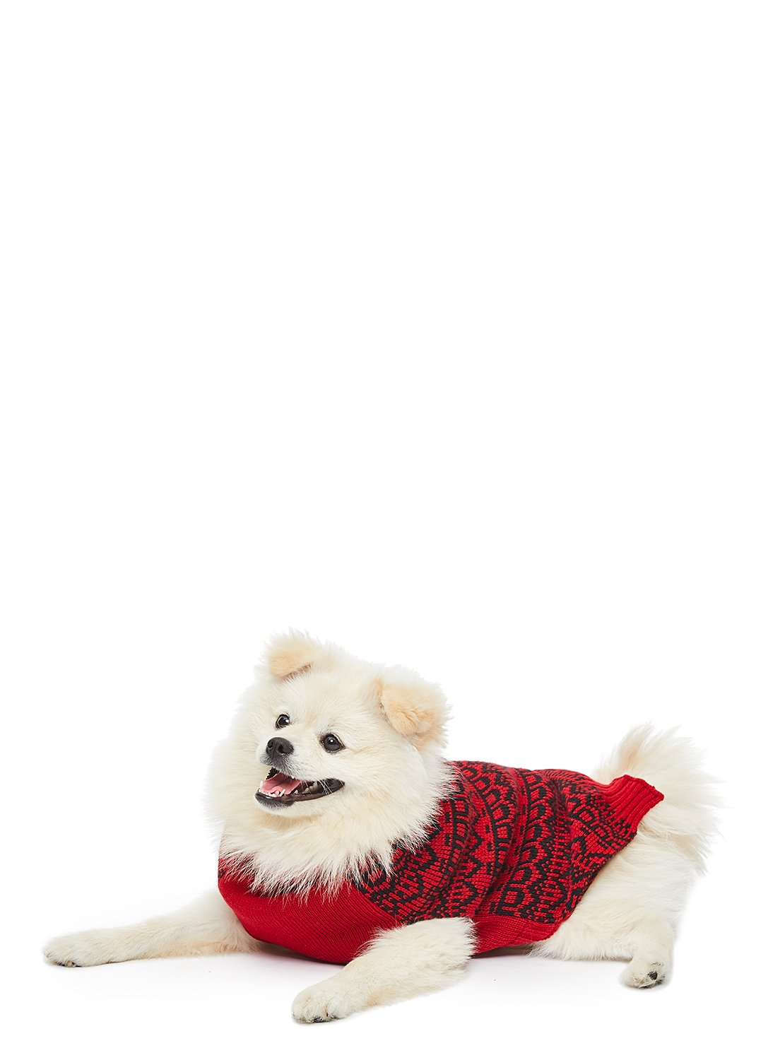 Fun Dog wearing Red Plaid Sleepwear